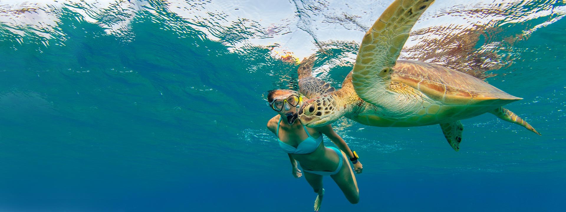 Mujer haciendo snorkel con una tortuga marina en Belice